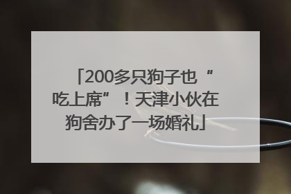 200多只狗子也“吃上席”！天津小伙在狗舍办了一场婚礼