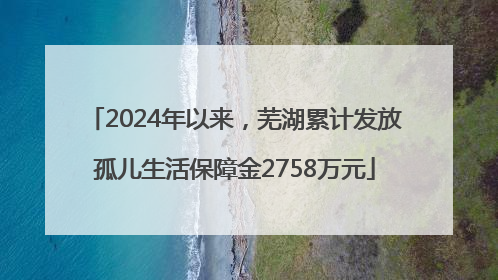 2024年以来，芜湖累计发放孤儿生活保障金2758万元