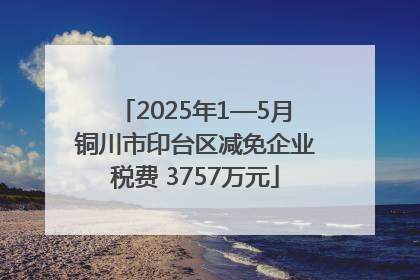 2025年1—5月铜川市印台区减免企业税费 3757万元