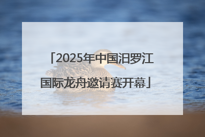 2025年中国汨罗江国际龙舟邀请赛开幕