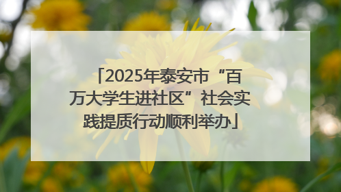 2025年泰安市“百万大学生进社区”社会实践提质行动顺利举办