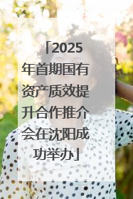 2025年首期国有资产质效提升合作推介会在沈阳成功举办