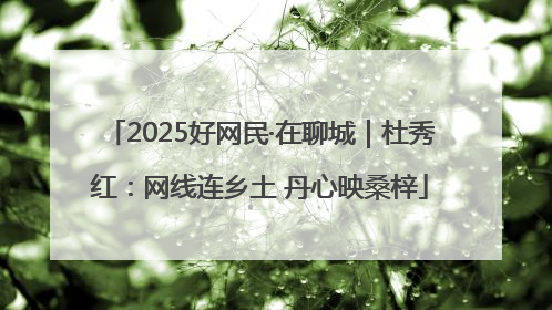 2025好网民·在聊城｜杜秀红：网线连乡土 丹心映桑梓