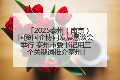 2025泰州（南京）国资国企协同发展恳谈会举行 泰州市委书记用三个关键词推介泰州