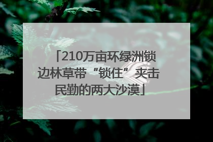 210万亩环绿洲锁边林草带“锁住”夹击民勤的两大沙漠