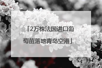 2万株法国进口葡萄苗落地青岛空港
