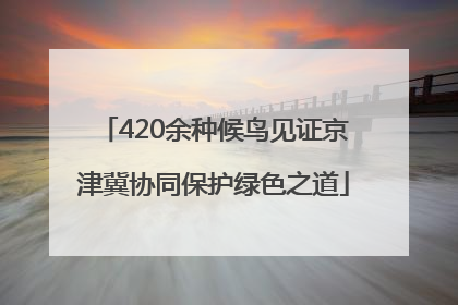 420余种候鸟见证京津冀协同保护绿色之道