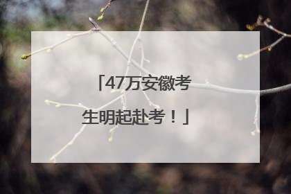 47万安徽考生明起赴考！
