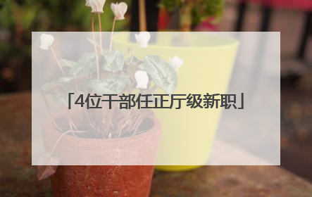 4位干部任正厅级新职