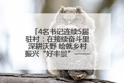 4名书记连续5届驻村：在接续奋斗里深耕沃野 绘就乡村振兴“好丰景”——浦发银行南京分行助力脱贫攻坚、帮促乡村振兴记事（二）