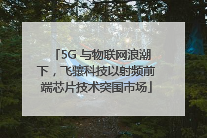 5G 与物联网浪潮下，飞骧科技以射频前端芯片技术突围市场
