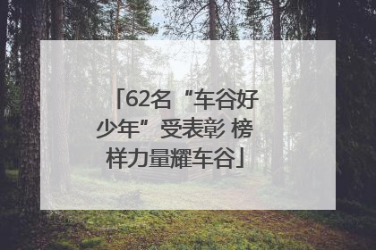 62名“车谷好少年”受表彰 榜样力量耀车谷