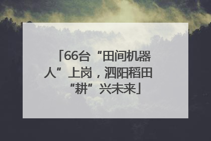 66台“田间机器人”上岗，泗阳稻田“耕”兴未来