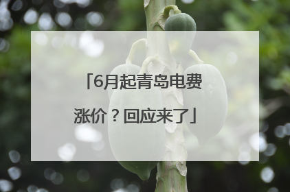 6月起青岛电费涨价？回应来了