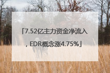 7.52亿主力资金净流入，EDR概念涨4.75%