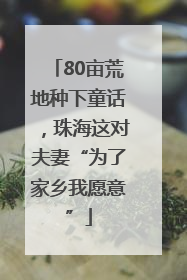 80亩荒地种下童话，珠海这对夫妻“为了家乡我愿意”