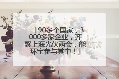 90多个国家，3000多家企业，齐聚上海光伏两会，能环宝参与其中！