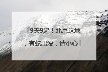 9天9起！北京这地，有蛇出没，请小心