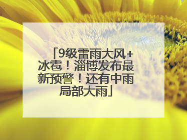 9级雷雨大风+冰雹！淄博发布最新预警！还有中雨局部大雨
