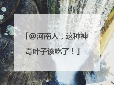 @河南人，这种神奇叶子该吃了！