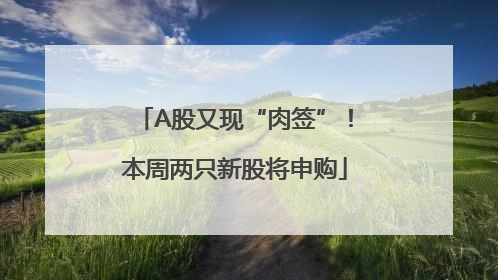 A股又现“肉签”！本周两只新股将申购