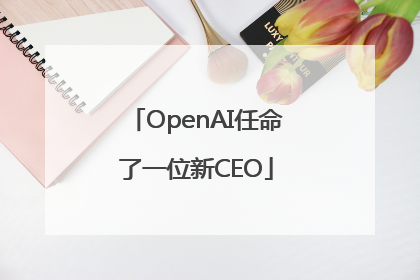 OpenAI任命了一位新CEO
