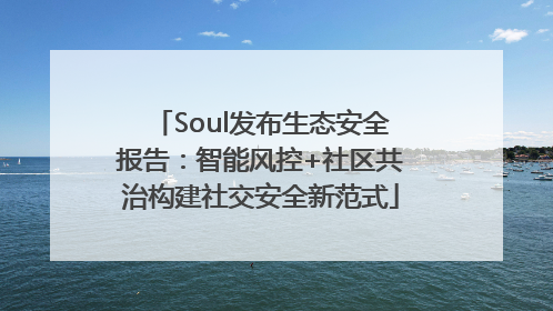 Soul发布生态安全报告：智能风控+社区共治构建社交安全新范式